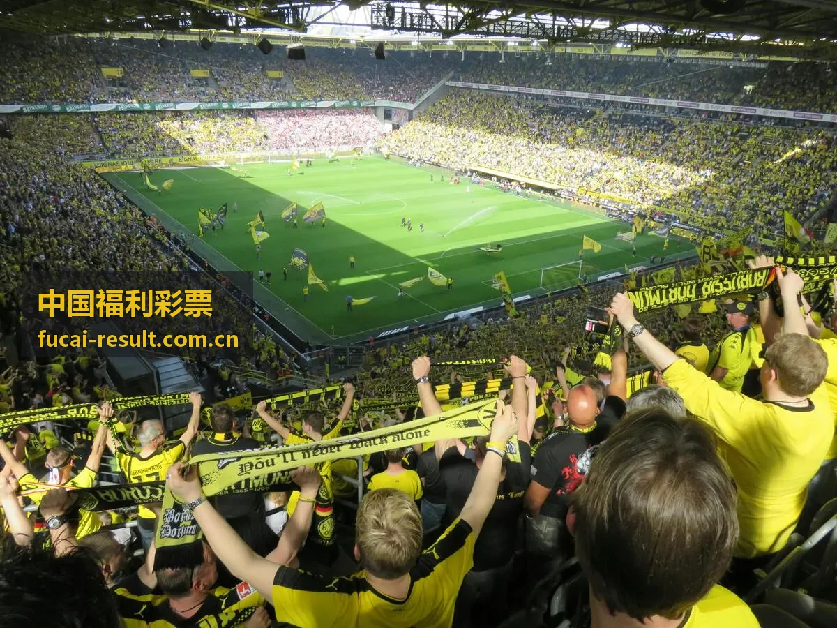 中国福利彩票快乐8选号技巧与策略